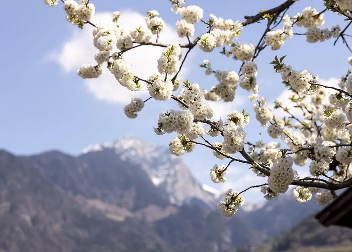 Pollingerhof Apartment Merano